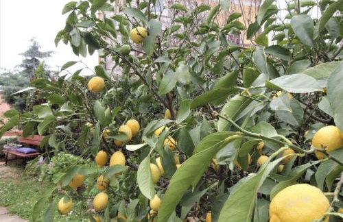 Apartment Estera - Foto 19