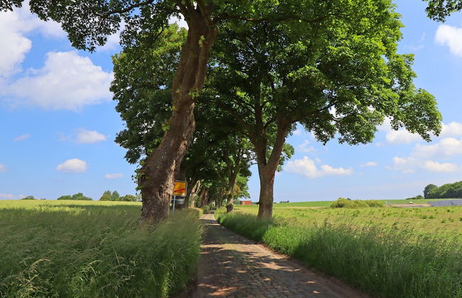 Ferienwohnung in Brusow an der Ostseekueste - Foto 37