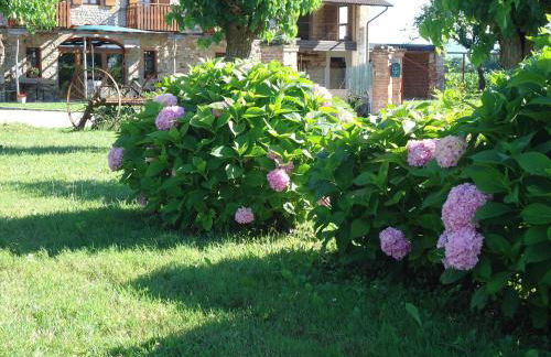 Agriturismo Al Gelso - Foto 13