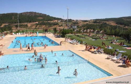 Anjú-Pardal - Foto 60