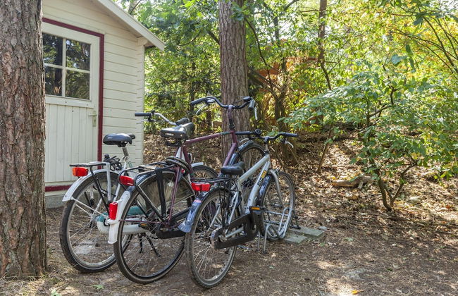 Cozy Holiday Home in Nunspeet near Forest - Photo 27