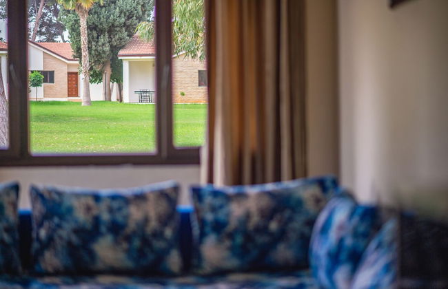 Diamant Vert - Photo 25