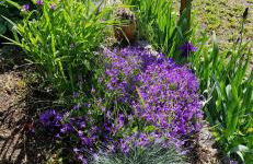 La maison du vigneron - Foto 28