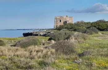 Villino Il melograno - Foto 40