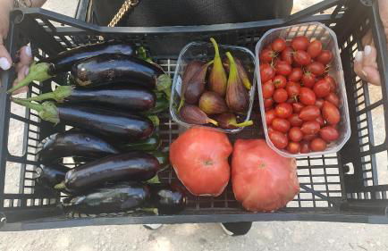 La Maison de André - Foto 18