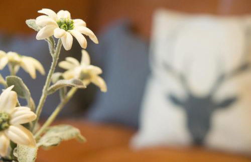 Blockhäuser Stamsried - Photo 21