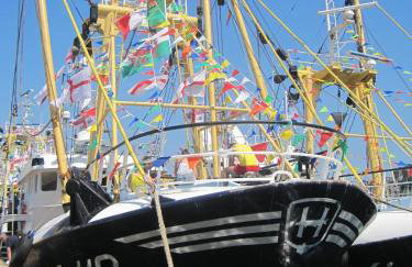 Quirky fisherman's cottage by the sea in Brixham - Foto 76