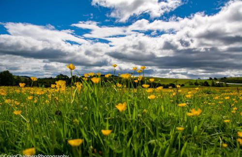 Modern and Stylish WoodHous - Photo 23