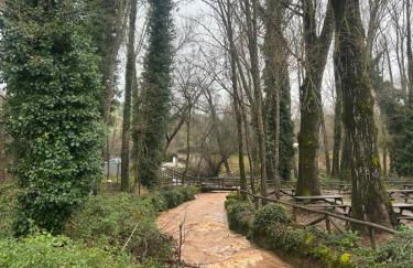 Casa Rural Nacimiento del Hueznar - Tomillo 17 - Foto 49