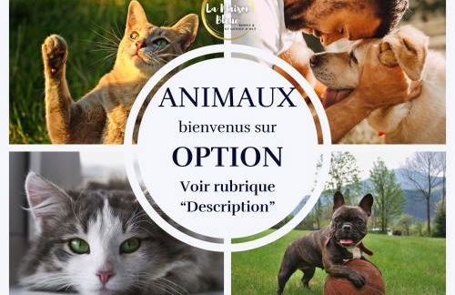 Cocon, vue Rodez, terrasse, box, musée Soulages - Photo 26