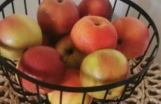 W Małym Sadzie - Foto 30