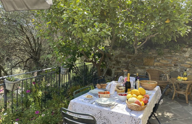 2 bedroom Apartment in Cipressa with garden - Photo 6