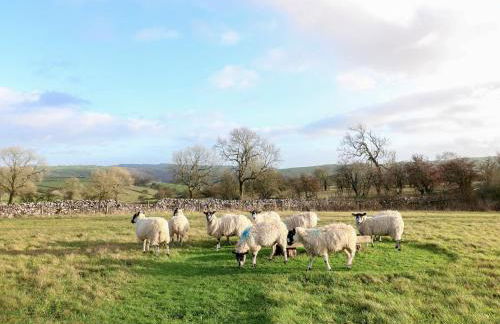 Little Barn - Photo 20