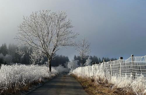 FeWo Gipfelglück - Foto 25