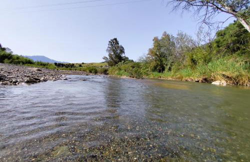 The Dragonfly Retreat - Photo 79