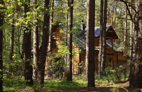 Na Las Czas, Wilga - Foto 53