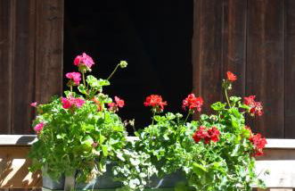 Ausserwegerhof - Photo 29