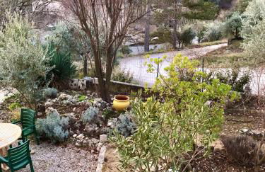 La rocaille du château - Foto 17