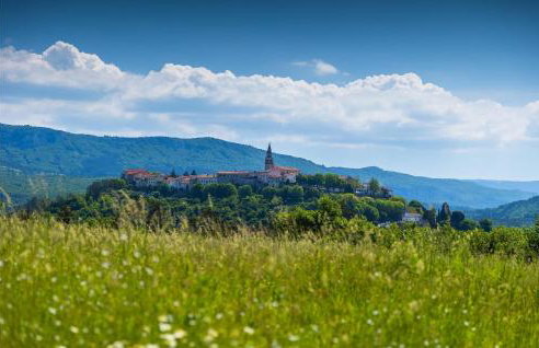 Villa Elena Buzet - Foto 9