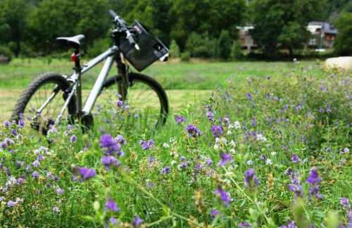 Casa con piscina privada, jardín, barbacoa, wifi y despacho en Costa Brava - ES-89-83 - Foto 36