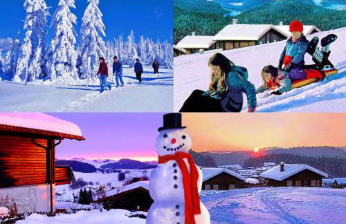BayerischerWald-Ferien-Blockhaus-Panoramablick-Grafenau Haus im Wald-Vogelthenne 19, fast Alleinlage-ILZtal-Blick nähe Rothauer, Saldenburger, Ebenreuther und Eginger See im Dreiburgenland, unweit der Dreiflüße-Stadt PASSAU an der Donau Inn und ILZ - Foto 49