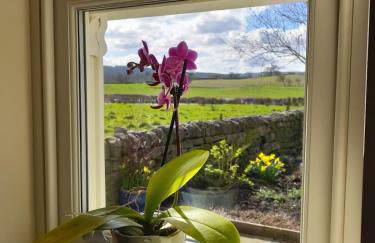 Birch Bothy, peaceful rural retreat - Foto 24