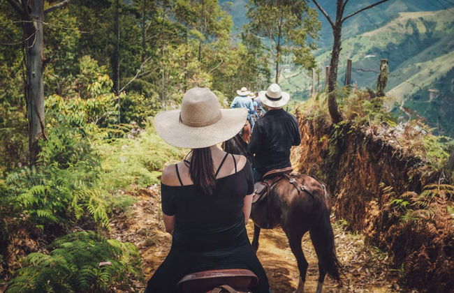 Paseo a caballo por los cafetales de Salgar - Foto 8