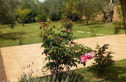 Villa Freedom - Koutsoubri Beach Evia - Foto 24