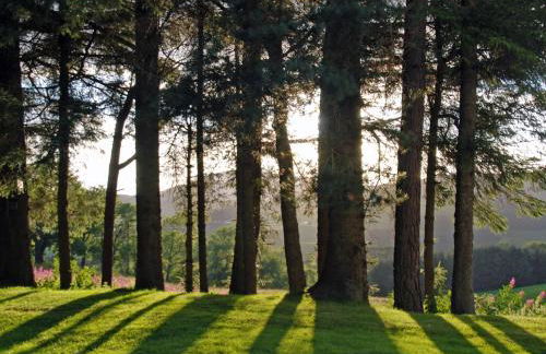 5 Bed in Blacklunans CA409 - Foto 32