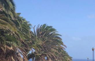 Blue Beach - Photo 20