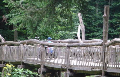 Haus Eifelinchen - Foto 31