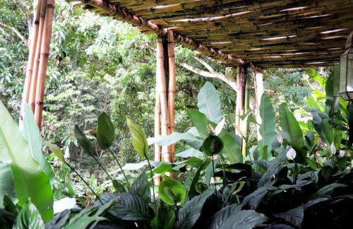 Sitio Alto da Montanha - você em paz com a natureza - Foto 20