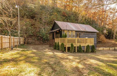 Little Blue in the Smoky Mountains - Foto 20