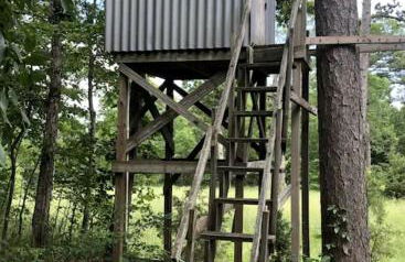 Cozy Cabin Rental near Ozark National Forest for a Relaxing Weekend Getaway in Arkansas - Photo 9