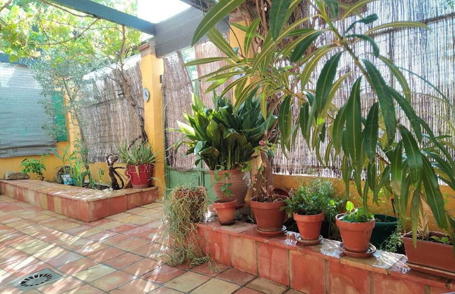 Magina Dream Pegalajar - Foto 34