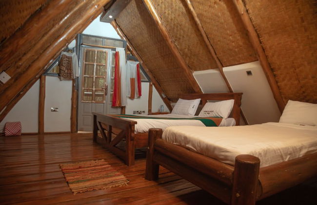 Nyungu Yamawe Forest Park - Foto 4