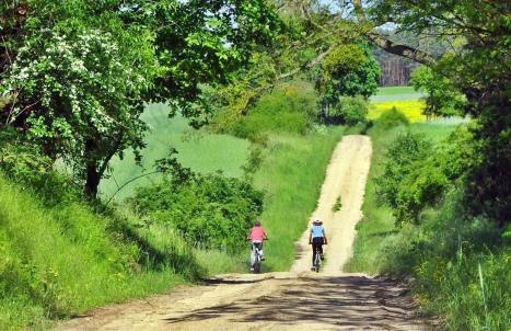 Tamarynowa Osada - Kraina Udanego Wypoczynku - Foto 32