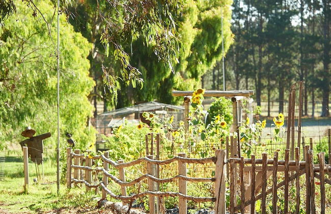 Olio Bello Lakeside Glamping - Foto 30