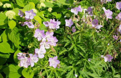 Harbor Hill House - Foto 22