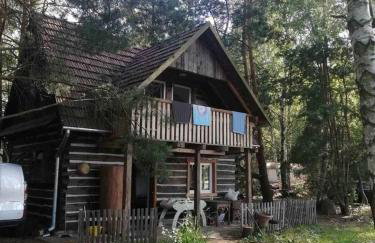 Wędkarska Agroturystyka - Foto 23