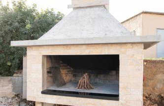 Amaryllis - Photo 13