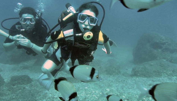 Nadando com os peixes