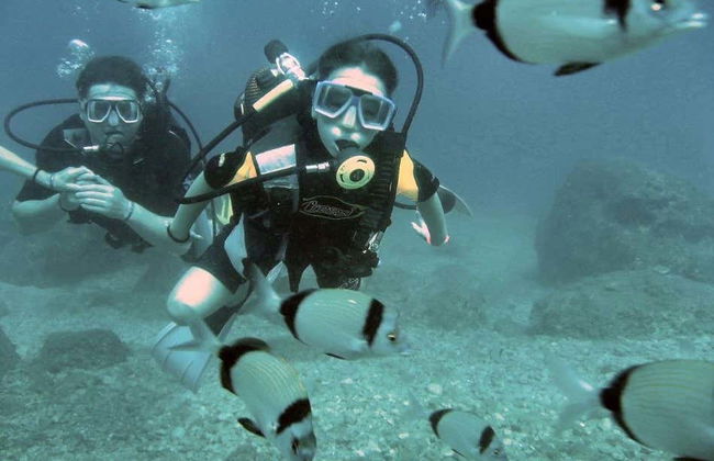 Introduction to Scuba Diving in Alanya - Photo 3