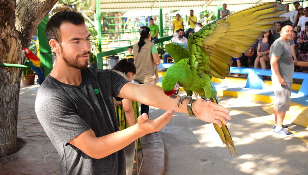 Oiseaux exotiques à l'aquarium de Mazatlan