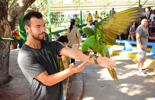 Tour por Mazatlán + Acuario - Foto 5