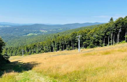 Winterwohnung Almberg - Foto 39