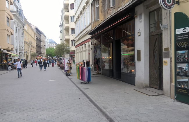 Váci street Downtown Apartments - Foto 19