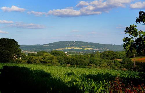 Steppes Farm Cottages - Foto 49