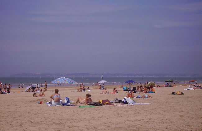 Lovely Norman Half-timbered House, Manneville La Raoult - Foto 26