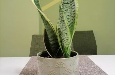 Cosy, feel-good apartment in Thessaloniki - Foto 10